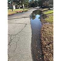 Day after the king tide Virginia Beach image